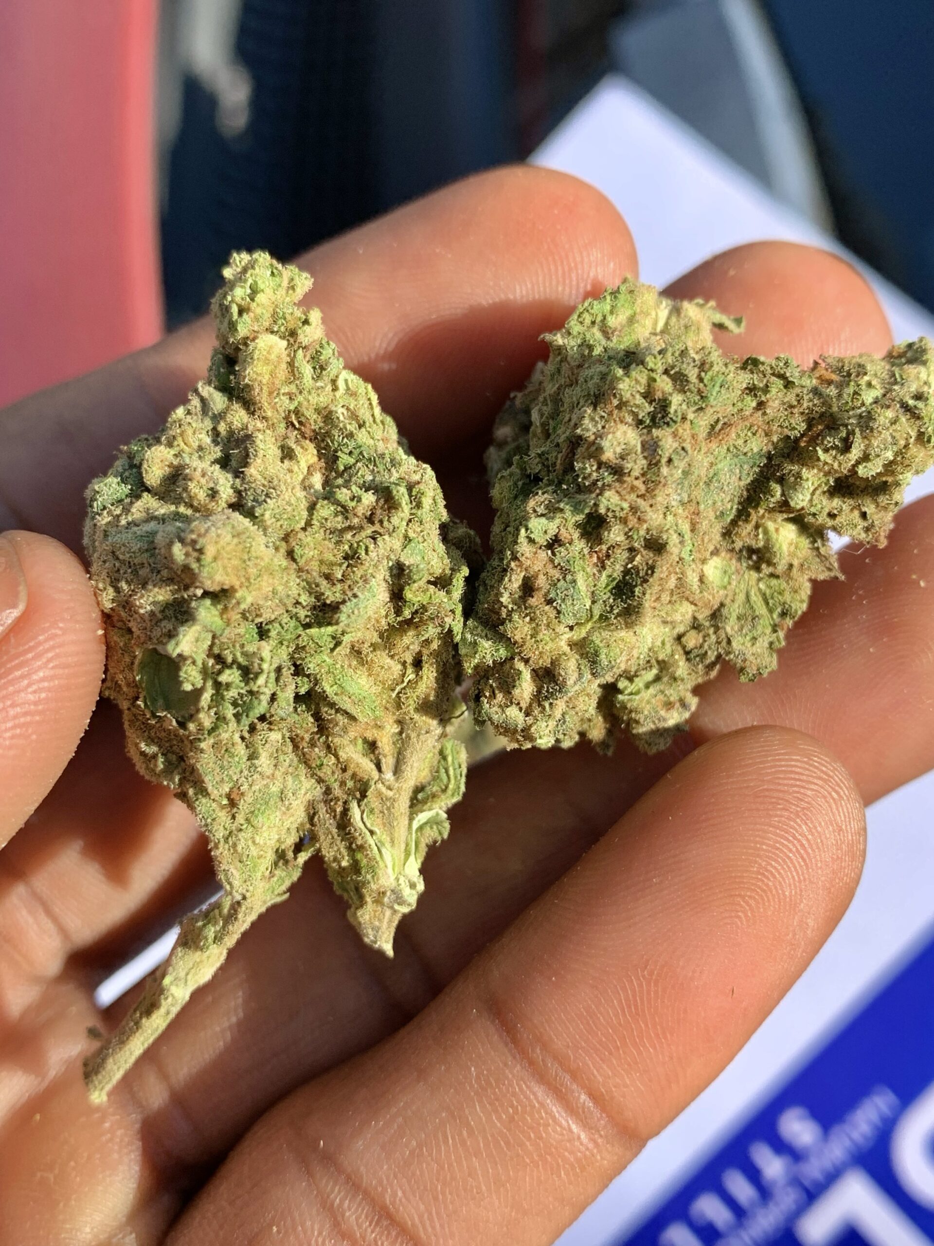 California Orange - 100g outdoor - Image 4