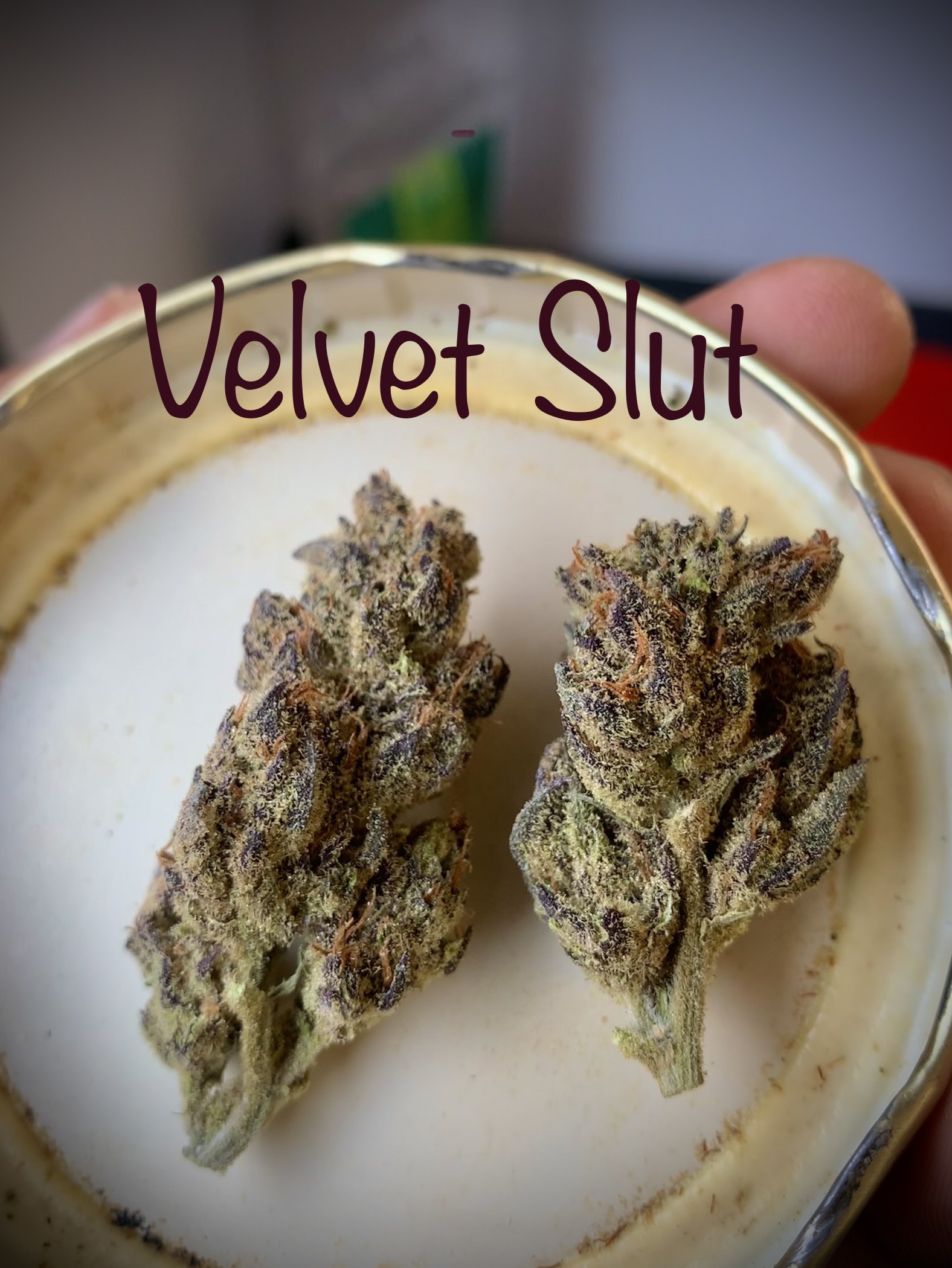 Exotic AA indoor Combo Deal - 20g (5g x4) - Image 4