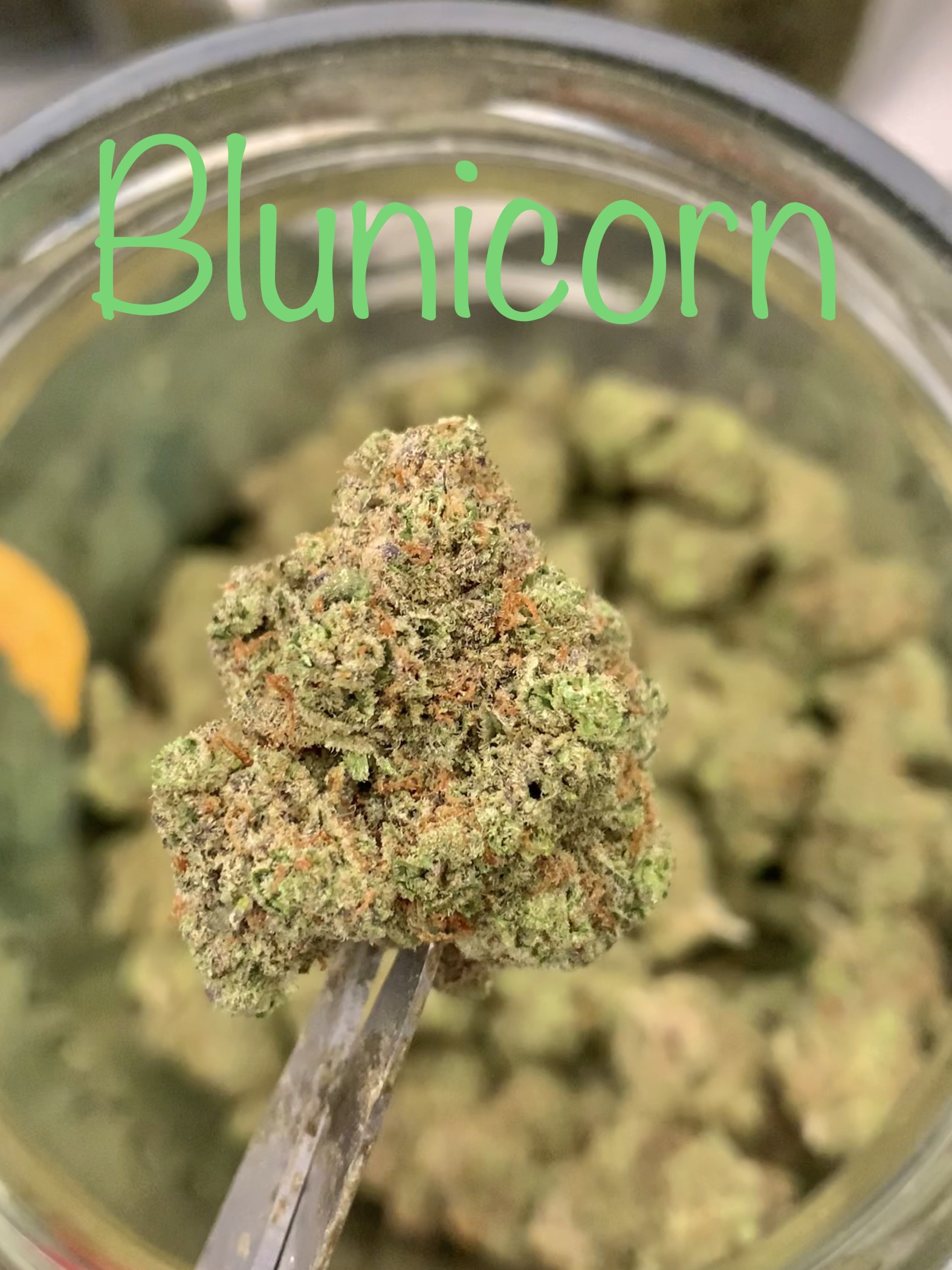 Exotic AA indoor Combo Deal - 20g (5g x4) - Image 5