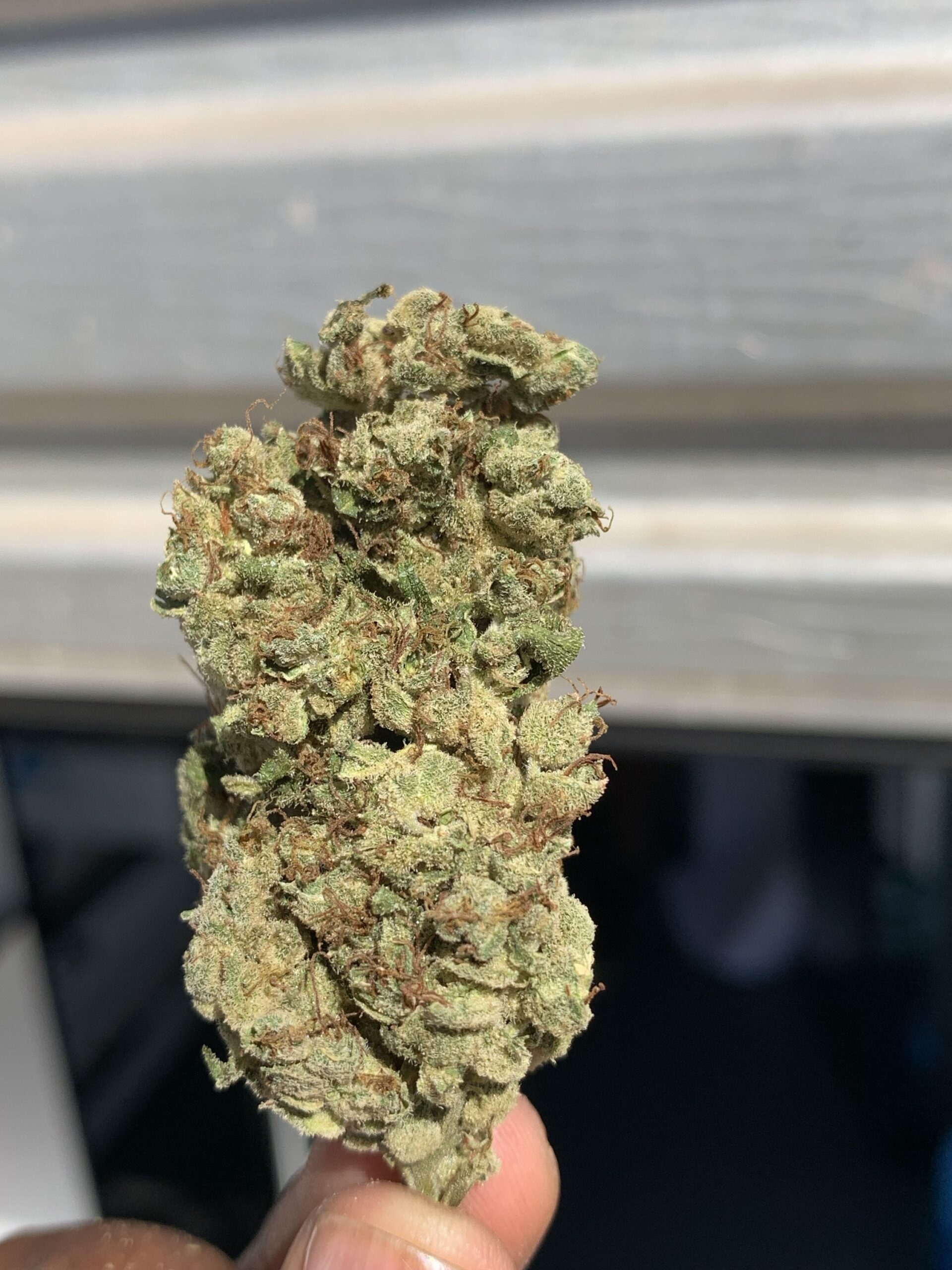California Orange - 100g outdoor - Image 2