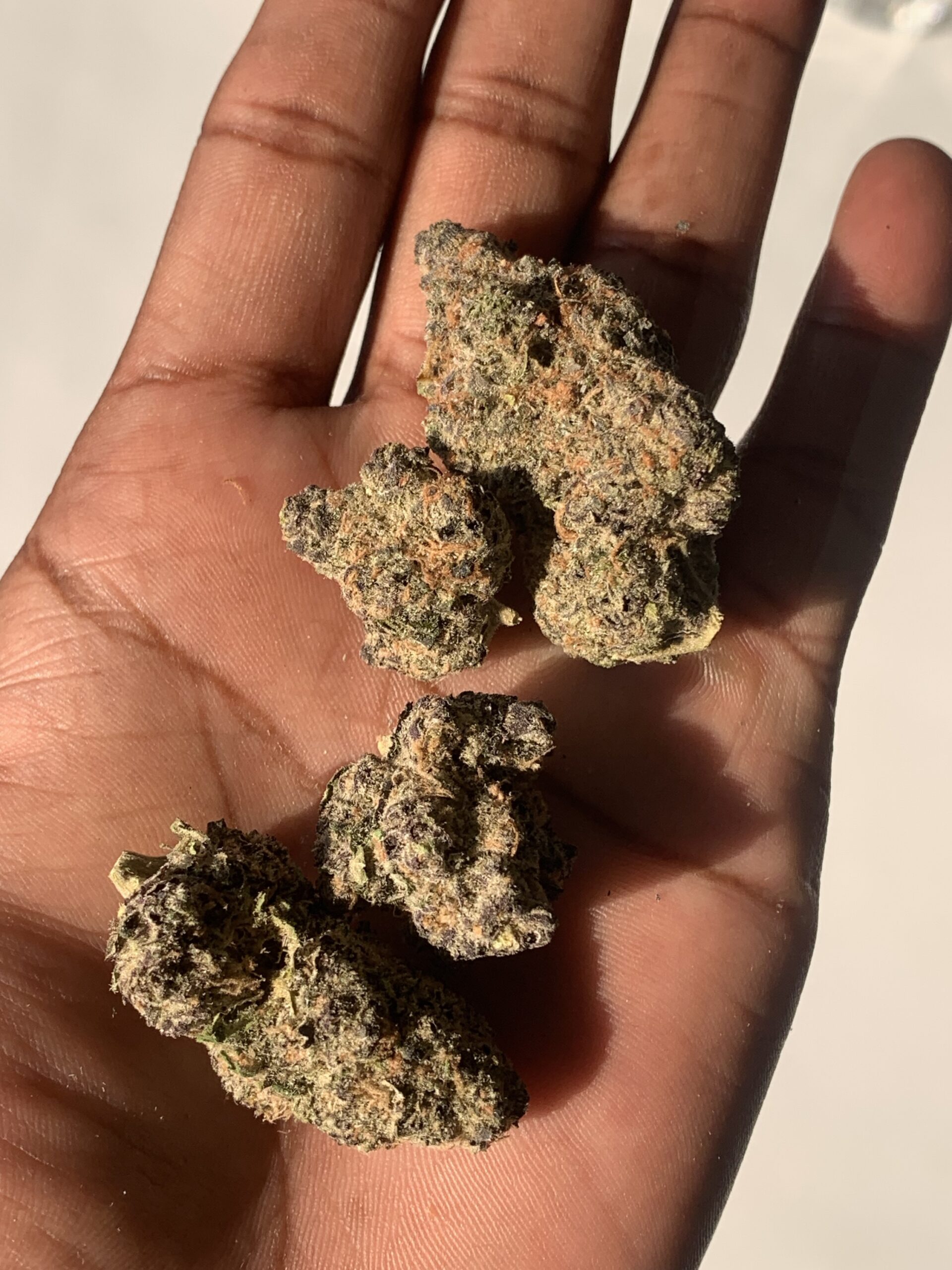 Sugar White Widow AAA Indoor - Image 3