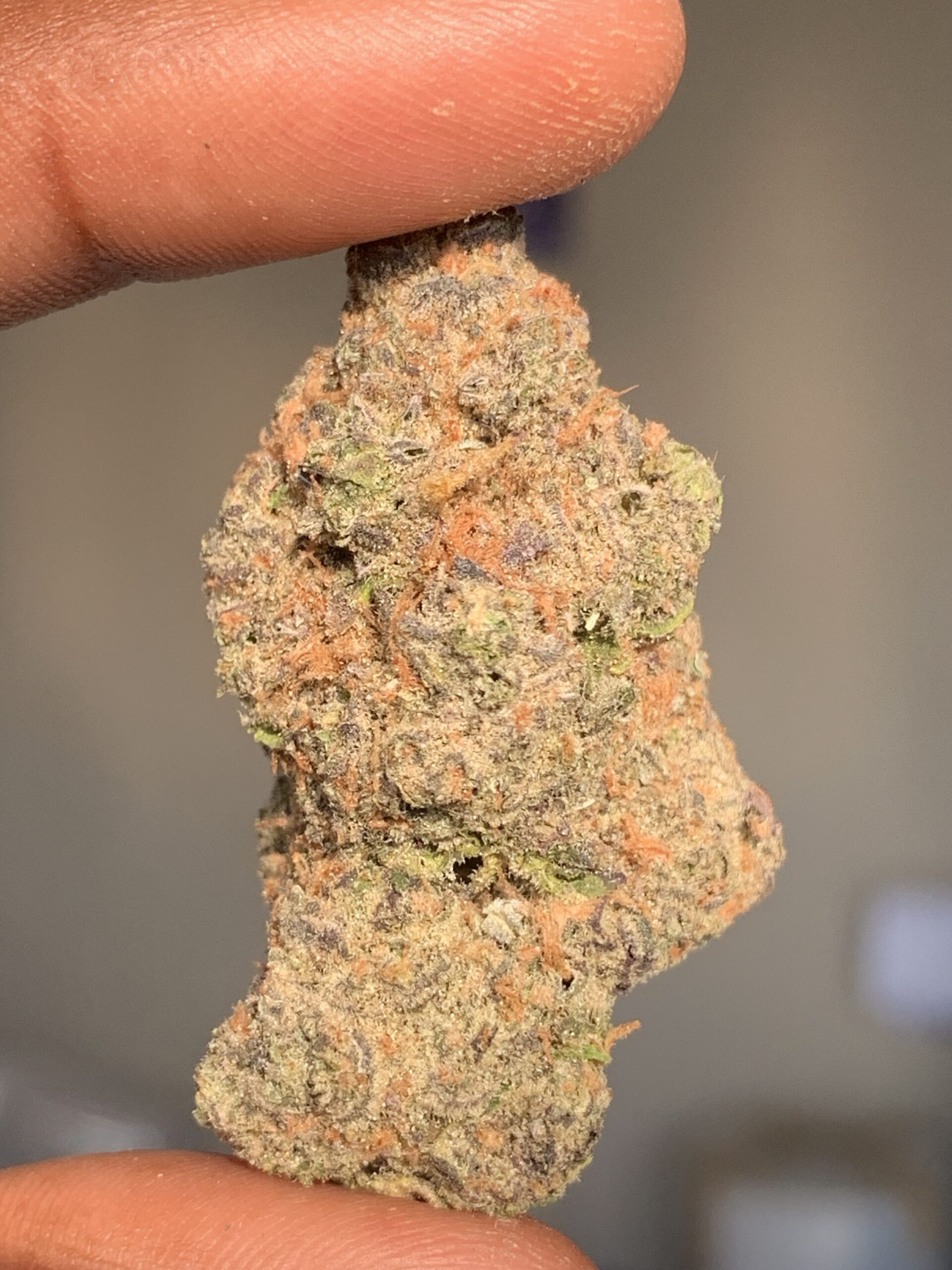 Sugar White Widow AAA Indoor - Image 2