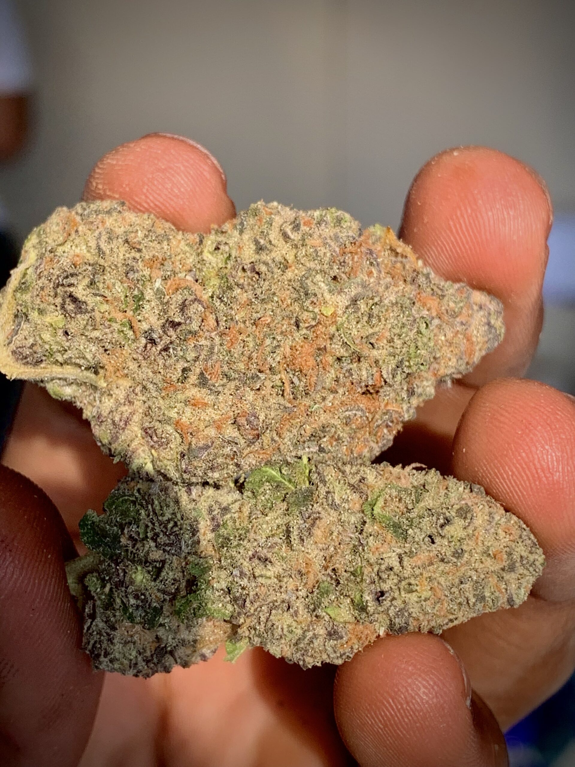 Sugar White Widow AAA Indoor