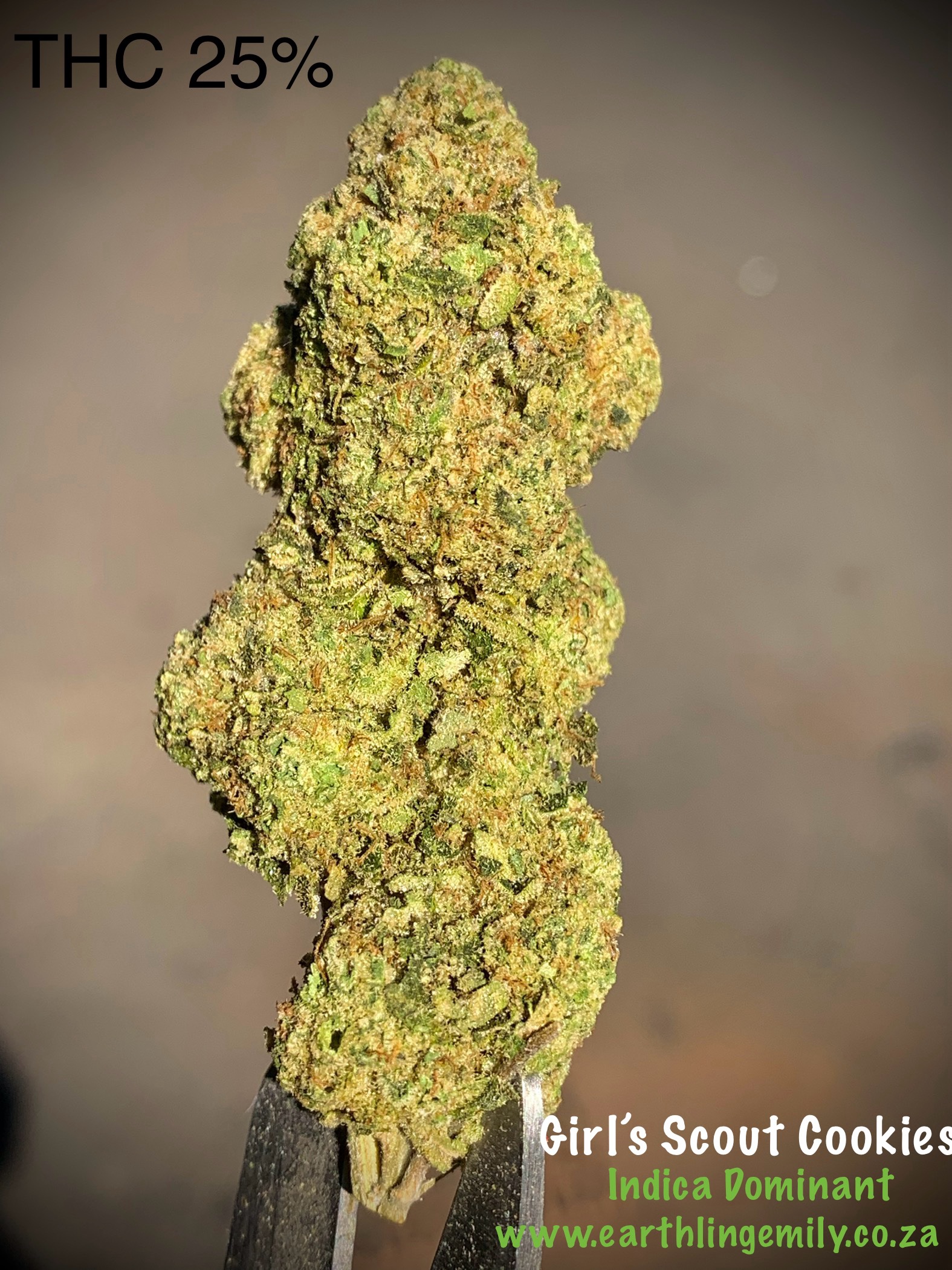 Girl’s Scout Cookies - Indica Dominant AAA indoor 10g