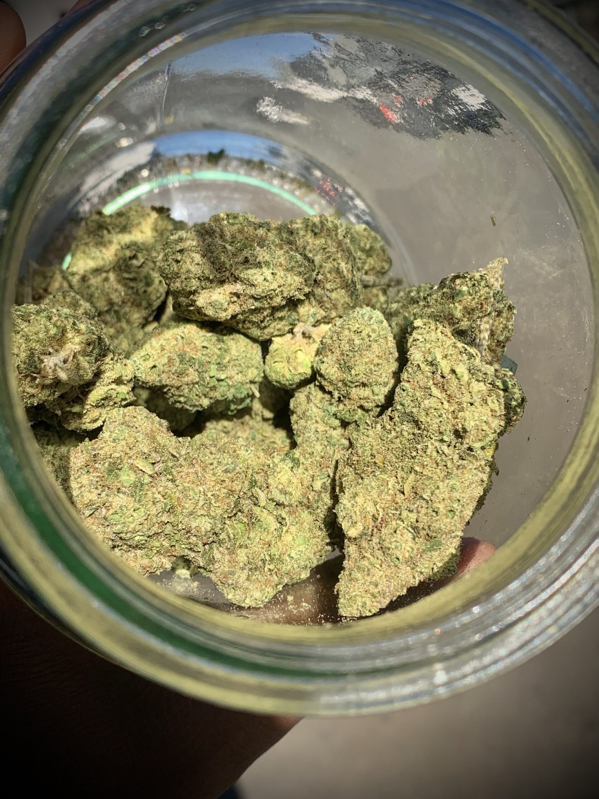 Girl’s Scout Cookies - Indica Dominant AAA indoor 10g - Image 2